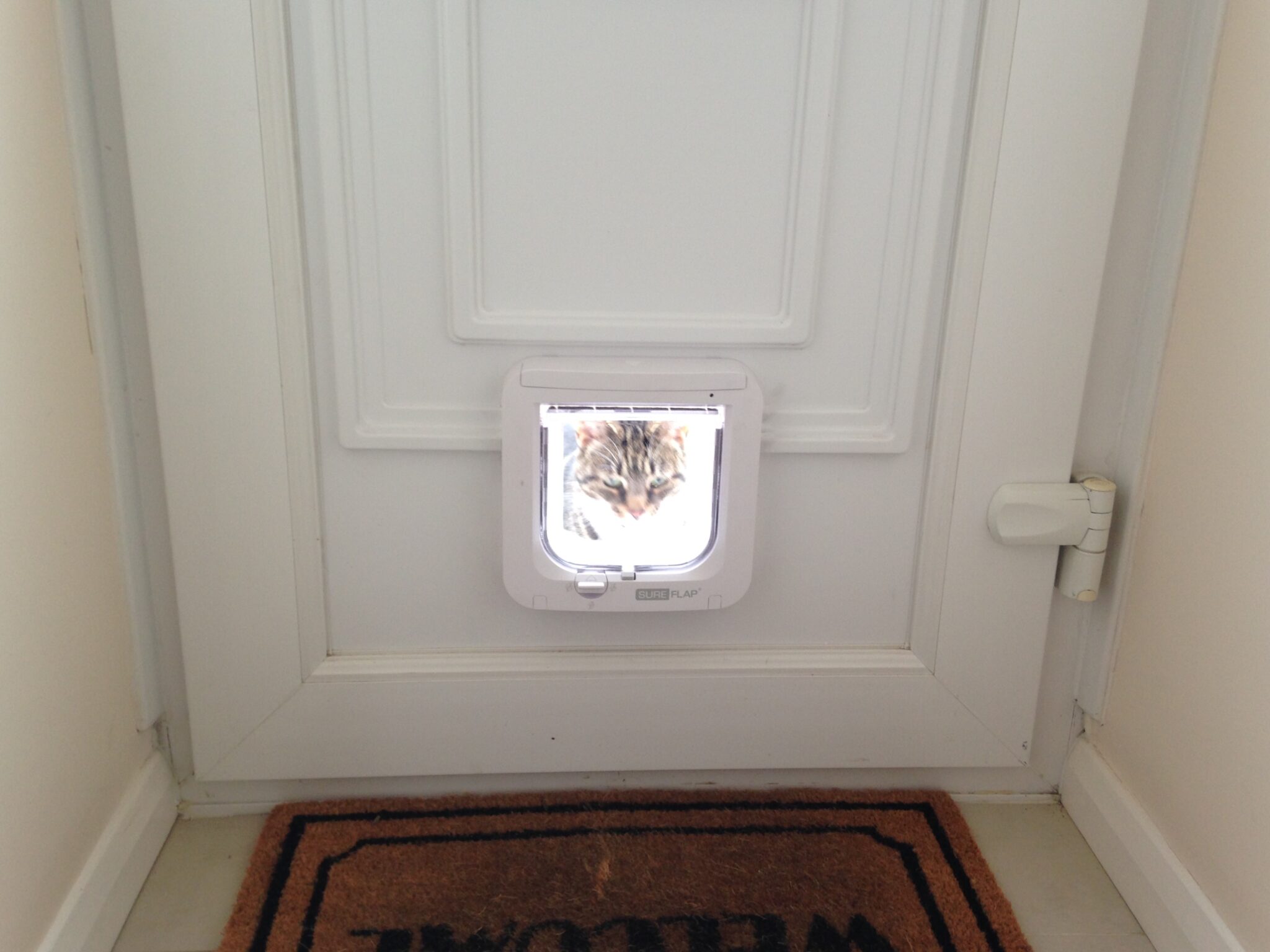 Cat Flaps Pet Flap Fitter Installing and Fitting by Professionals